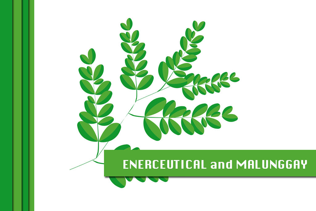 lifeoil malunggay leaves