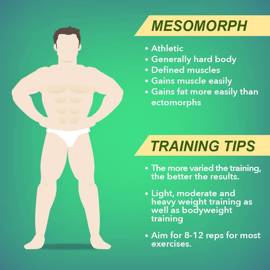 Body Type Mesomorph