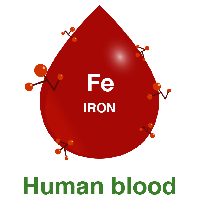 Natural immune booster Human Blood Image