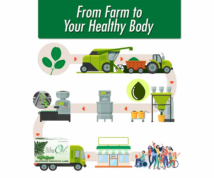 lifeoil infographics